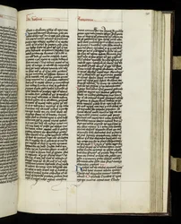 Seite 299 aus Buch 20 der 