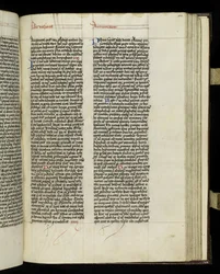 Seite 303 aus Buch 20 der 