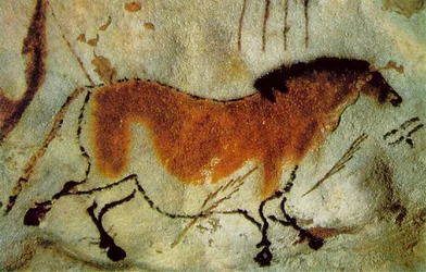 Ein Pferd, ca. 15,000-10,000 v. Chr.