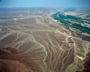Luftaufnahme der Nazca-Linien, die eine Vogelfigur darstellen