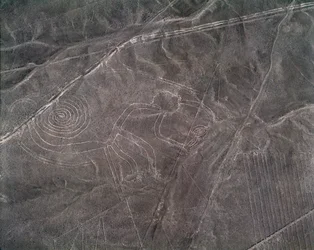 Luftaufnahme einer Affenfigur, Nazca-Linien