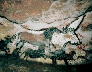 Stier, mit Hirsch und Pferd, Oberes Paläolithikum, aus der Höhle von Lascaux, Frankreich, ca. 17.000-15.000 v. Chr.
