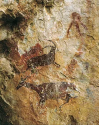 Jagdszene mit einem Hirsch und einem Steinbock (25000-15000 v. Chr.). Oberes Paläolithikum. El Perello, Höhle von La Cabra Freixet.