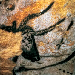 Höhlenmalerei mit der Darstellung eines Auerochsen (ausgestorbenes Rind), Saal der Stiere, Höhle von Lascaux, Montignac, Dordogne, Frankreich, paläolithische Magdalénien-Kultur