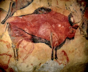 Bison in der Höhle von Altamira