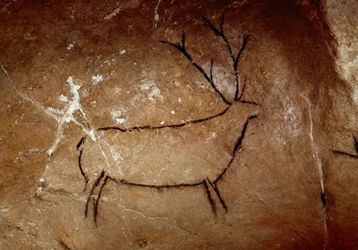 Vorgeschichte: „Ein Hirsch“ Felsmalerei des Oberen Paläolithikums (Magdalénien) (zwischen 16500 und 14000 Jahren) Höhle von Las Chimeneas, Monte Castillo, Spanien