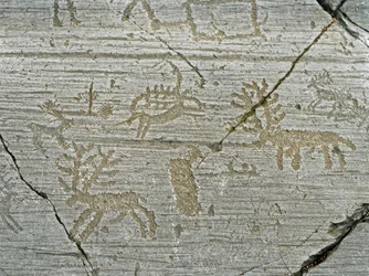 Vorgeschichte, Kultur der Camunni, Felskunst: Grabfelsen mit der Darstellung von Hirschen. Zeit zwischen Jungsteinzeit und Bronzezeit. Fels. 1. Capo di Ponte, Parco nazionale delle incisioni rupestri di Naquane, Valcamonica, Val Camonica, Italien