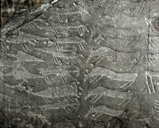 Vorgeschichte, Felskunst: gravierter Felsen mit Darstellungen von Dolchen und Ochsen. Kupferzeit. Äneolithikum (Chalkolithikum). Felsen Nr. 1. Cemmo (Brescia), Nationaler Archäologischer Park der Felsblöcke von Cemmo, Italien