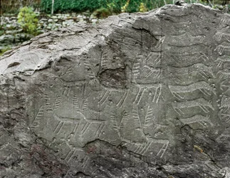 Vorgeschichte, Felskunst: Grabfelsen mit Darstellungen von Hirschen und Rindern. Kupferzeit. Äneolithikum (Chalkolithikum). Felsen Nr. 1. Cemmo (Brescia), Parco Archeologico Nazionale dei Massi di Cemmo, Italien