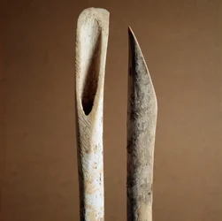 Prähistorisch: Werkzeuge zum Entfernen der Rinde von Schienbeinknochen von Ziegen und Schafen aus der Nekropole von Arene Candide (Finale Ligurien), Ligurien. Mittleres Neolithikum, Steinzeit. Genua, Museo di Archeologia Ligure