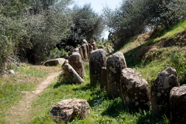 Die archäologische Stätte von Cromlech M Zora in Sidi El Yamani (Marokko). Neolithisches Grabhügel (2000 v. Chr.), umgeben von 167 Monolithen.