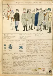 Uniformvariationen des Königreichs Italien, Farbtafel von Quinto Cenni