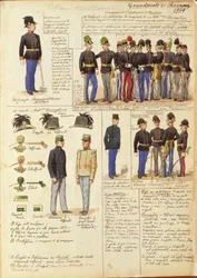 Uniformen des Großherzogtums Toskana von Quinto Cenni, Farbtafel