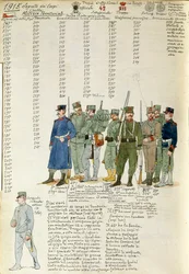 Uniformen der Territorialmiliz des Königreichs Italien, Farbtafel von Quinto Cenni