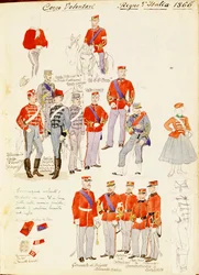 Uniformen des Freiwilligenkorps des Königreichs Italien, Farbtafel von Quinto Cenni