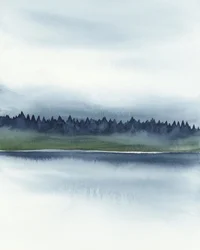 Nebliger Waldsee