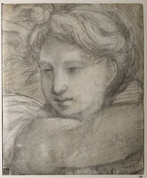 Kopf eines Engels, ca. 1520