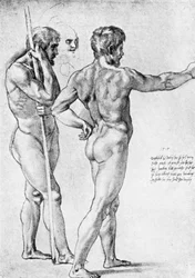 Zwei männliche Aktstudien, 1515, 1912.