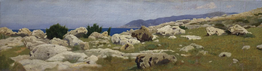 Blick auf Punta del Romito von Castiglioncello