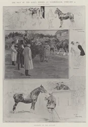 Der Verkauf der Pferde des Königs in Sandringham, 4. Februar