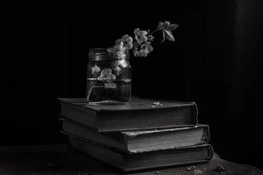 Stimmungsvolle Blüten auf Büchern