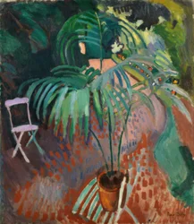 Die kleine Palme