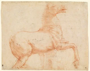 Ein Marmorpferd auf dem Quirinalshügel (recto)