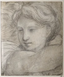 Raffaello Sanzio - Kopf eines Engels von Raphael (1483-1520), ca. 1520 - Schwarz- und Weißkreide auf Papier, 30,8x25,4 - Szépművészeti Múzeum, Budapest