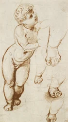 Recto: Das Jesuskind und andere Studien, 1500-1520