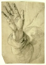 Erhobene rechte Hand, mit nach außen gerichteter Handfläche: Studie für den heiligen Petrus, 1518-20