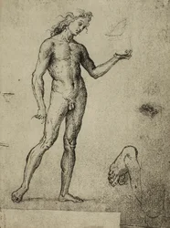 Männliche Aktstudie; Zeichnung von Raphael. Gallerie dell