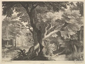 Bewaldete Landschaft