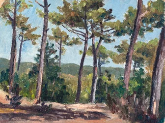 Kiefernwald