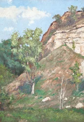 Bäume vor einer kleinen Klippe