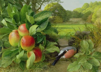 Katja-Apfel und Gimpel