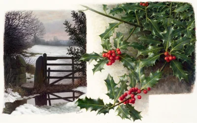 Midwintertau mit Stechpalme