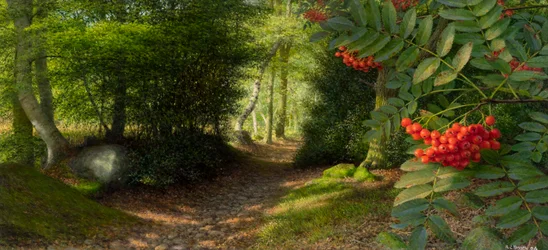 Septembernachmittag am Rand von Adel Woods