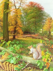 Eichhörnchen auf einem umgestürzten Baum