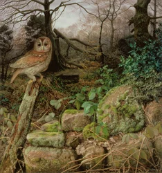 Der Wilde Wald - Ein Winterabend