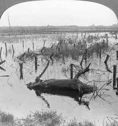 Geöffnete Schleusen und Stacheldraht in Nieuwpoort, Belgien, Erster Weltkrieg, um 1914-1918