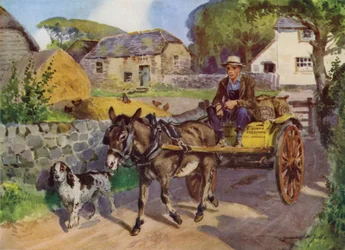 Illustration für Mein Bauernhof (Farblithografie)