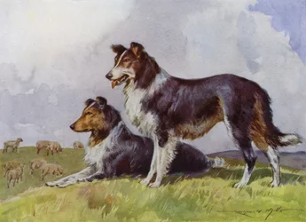 Illustration für Mein Bauernhof (Farblithografie)