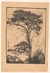 Kiefer