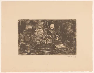 Sieben Muscheln