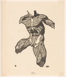Anatomische Studie der Nacken-, Bauch- und Oberschenkelmuskeln eines Mannes