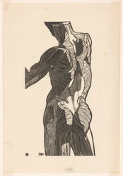 Anatomische Studie der Rücken- und Gesäßmuskeln eines Mannes