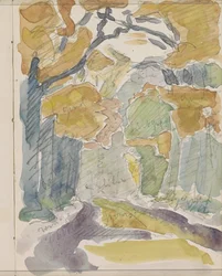 Waldweg im Herbst