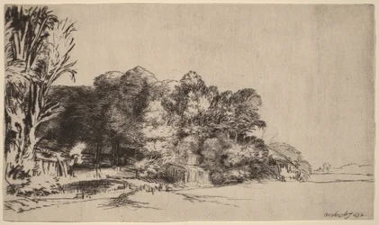Baumgruppe mit Aussicht