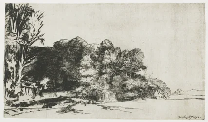 Baumgruppe mit Aussicht
