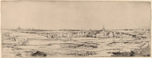 Landschaft mit Blick auf Haarlem (Das Feld des Goldwägers)